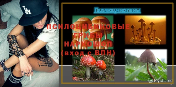 прущие грибы Алексин