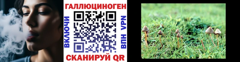МЕГА сайт  Ленинск  Галлюциногенные грибы GOLDEN TEACHER 